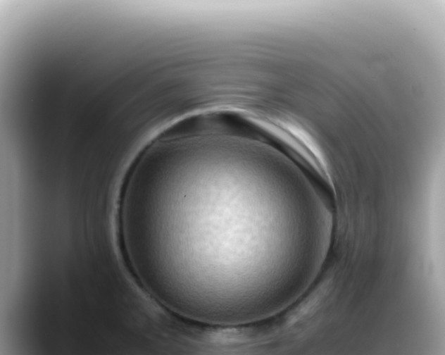 X0000088741093200706071655