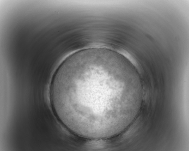X0000088741094200706071655