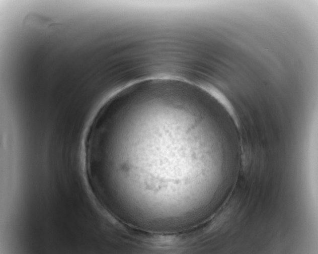 X0000088741096200706071655