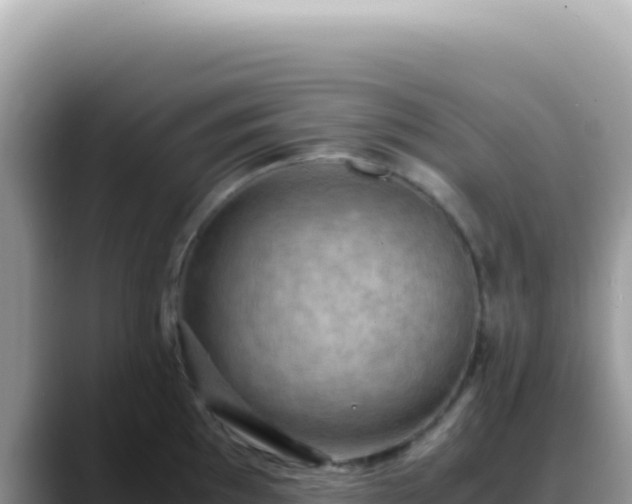 X0000088741097200706071655