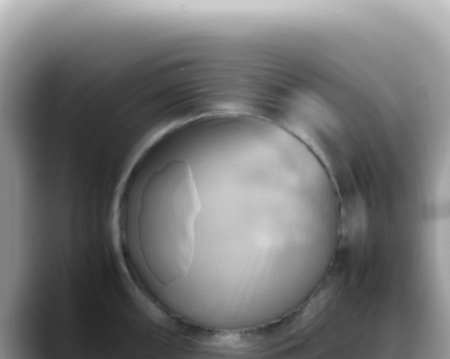 X0000088741098200706071655