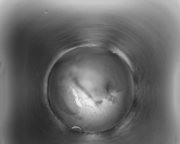 X0000088741099200706071655