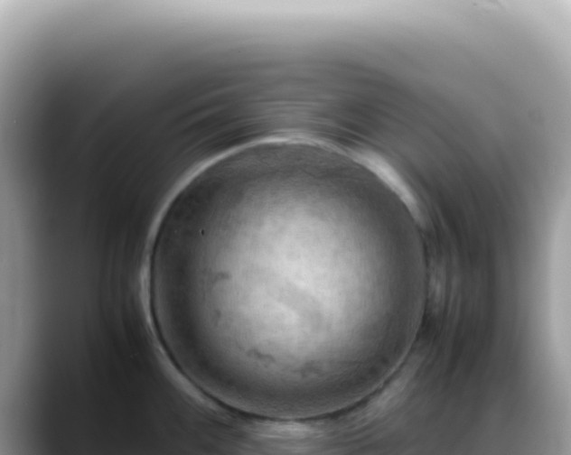 X0000088741100200706071655