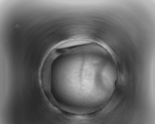 X0000088741102200706071655