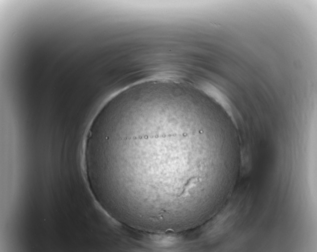 X0000088741103200706071655