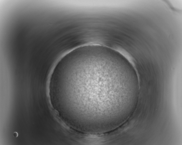 X0000088741104200706071655