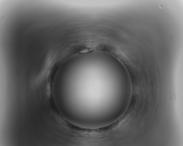X0000088741106200706071654