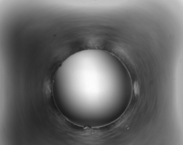 X0000088741107200706071654