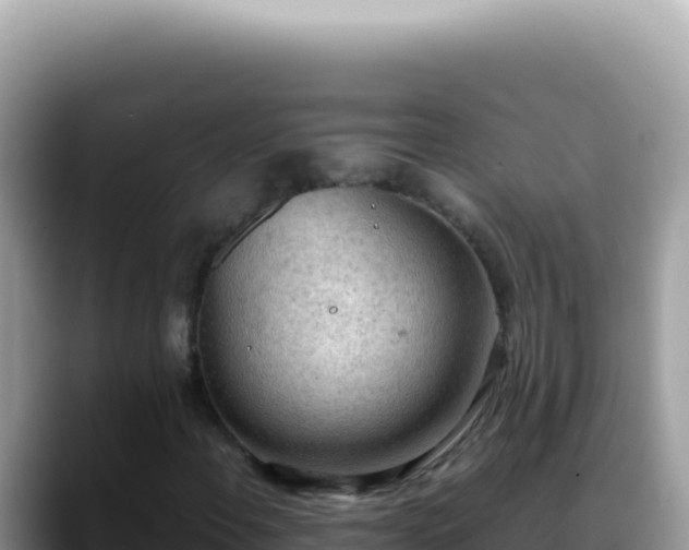 X0000088741108200706071654