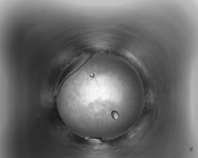 X0000088741110200706071654