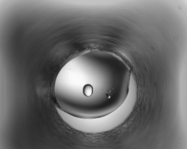 X0000088741111200706071654