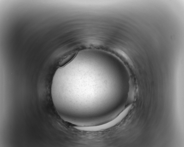 X0000088741112200706071654