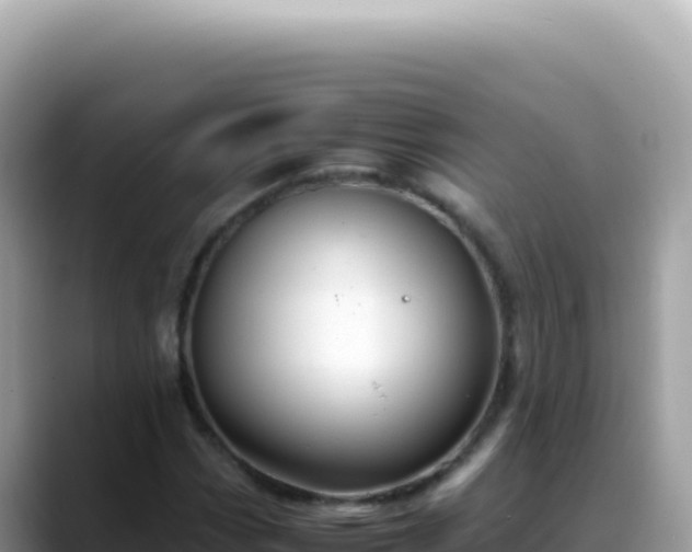 X0000088741113200706071654