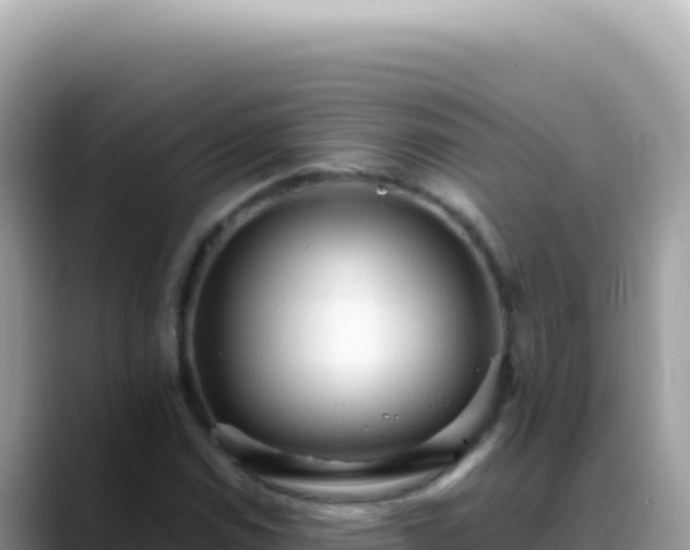 X0000088741114200706071654