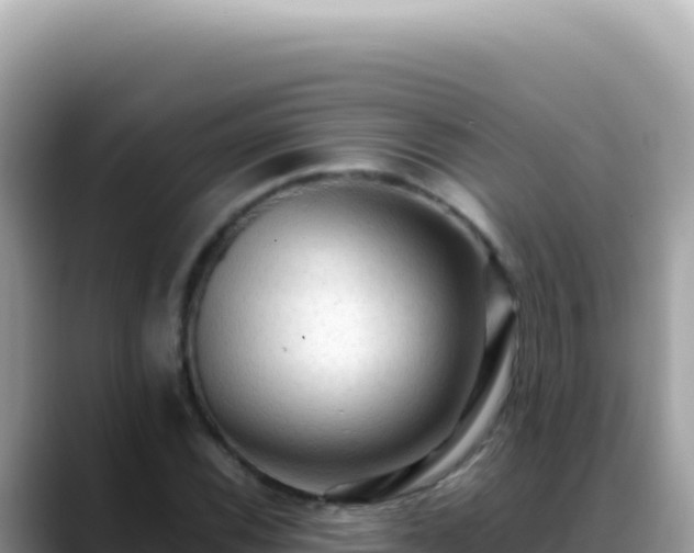 X0000088741116200706071654