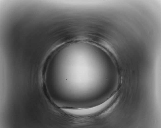 X0000088741117200706071654