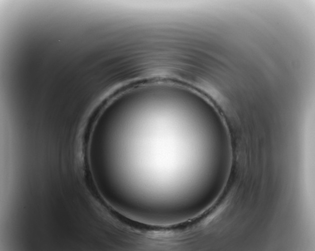 X0000088741118200706071654