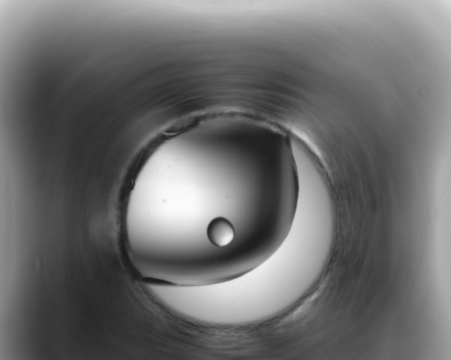 X0000088741119200706071654