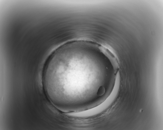 X0000088741120200706071654