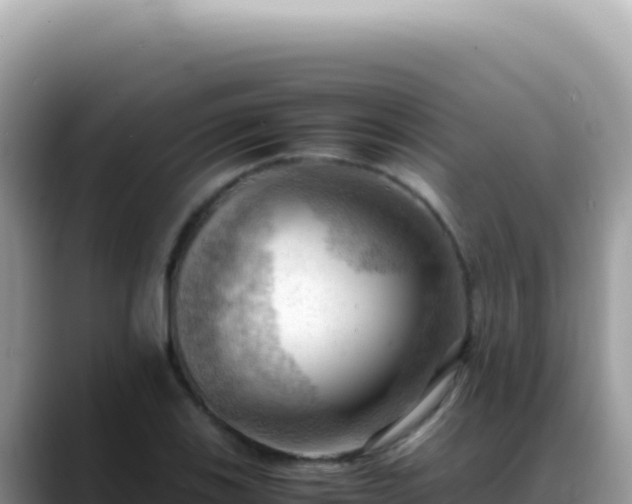 X0000088741123200706071654