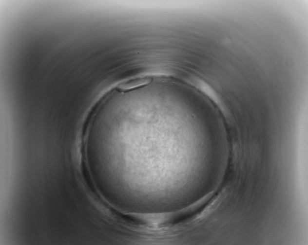 X0000088741124200706071654