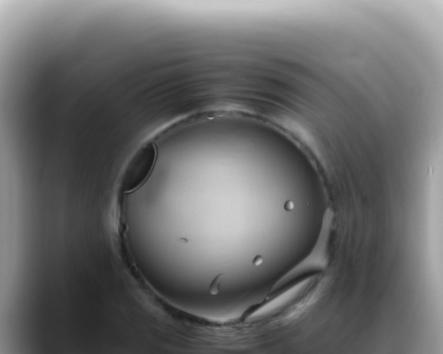 X0000088741125200706071654
