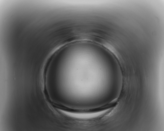 X0000088741127200706071654