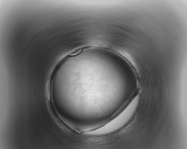 X0000088741128200706071654