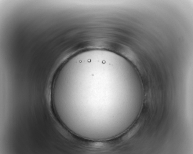 X0000088741130200706071654