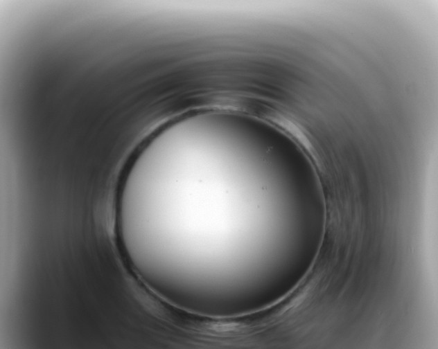 X0000088741131200706071654