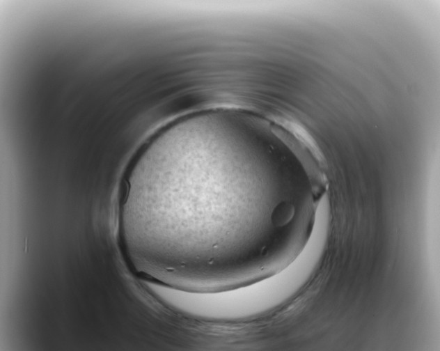 X0000088741132200706071654
