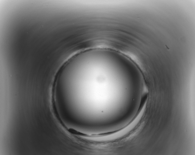 X0000088741134200706071654