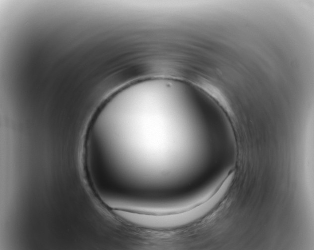 X0000088741136200706071654
