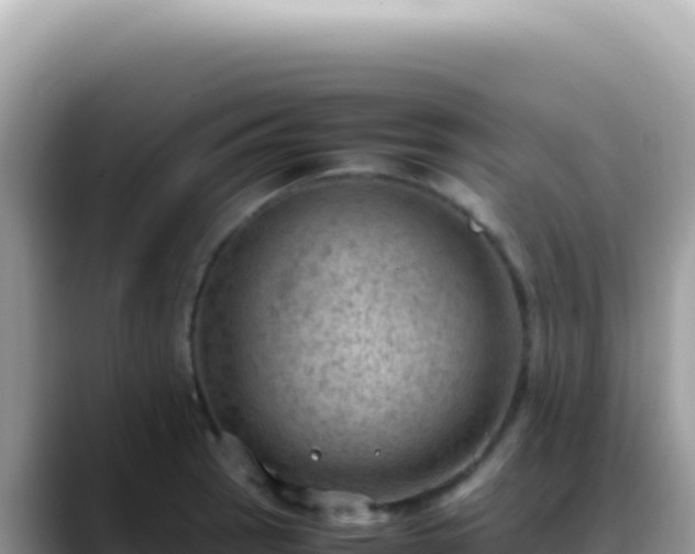 X0000088741137200706071654