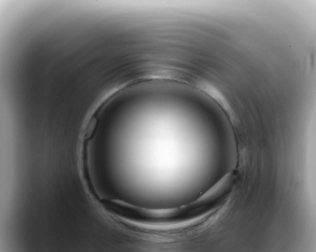X0000088741138200706071654