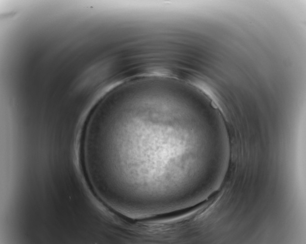 X0000088741139200706071654