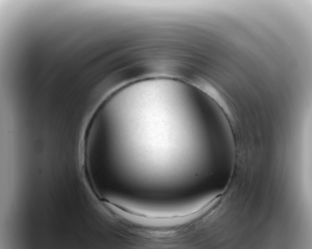 X0000088741140200706071654