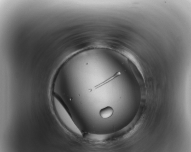 X0000088741141200706071654