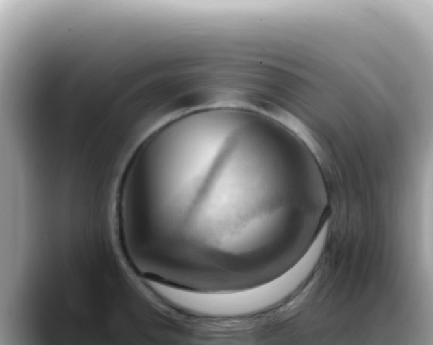 X0000088741142200706071655