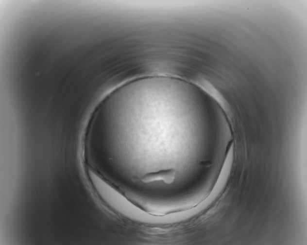 X0000088741144200706071655