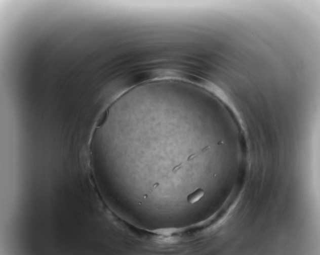 X0000088741145200706071655