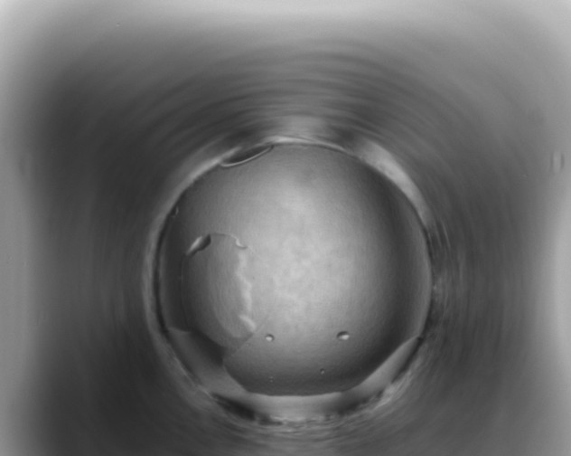 X0000088741146200706071655