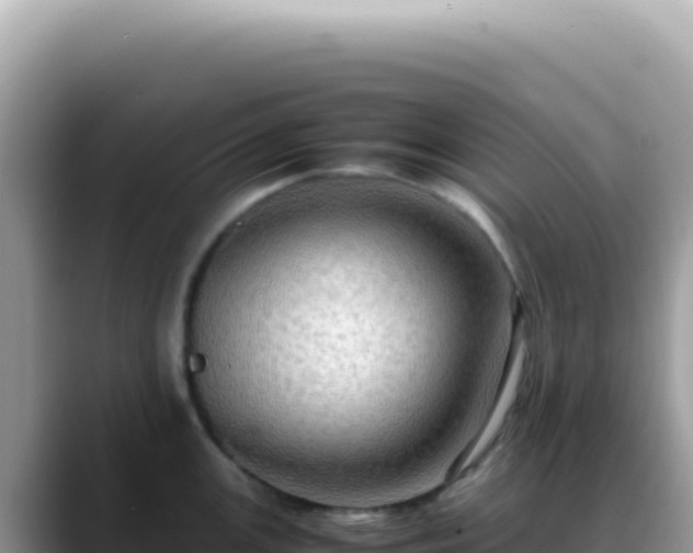 X0000088741147200706071655