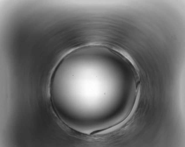 X0000088741148200706071655