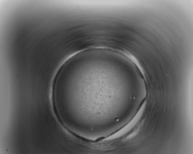 X0000088741149200706071655