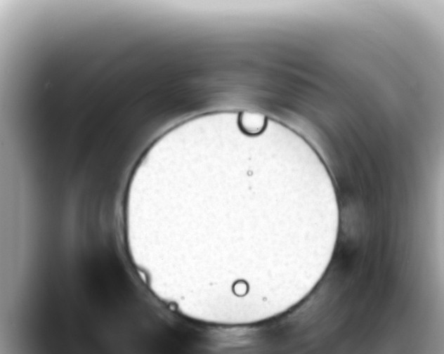 X0000088741150200706071655