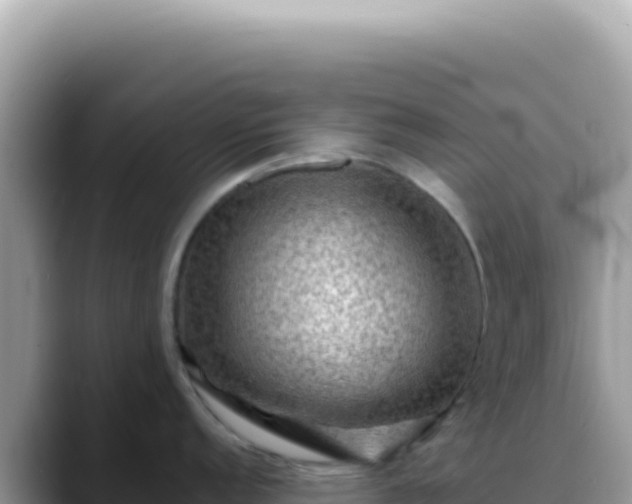 X0000088741152200706071655