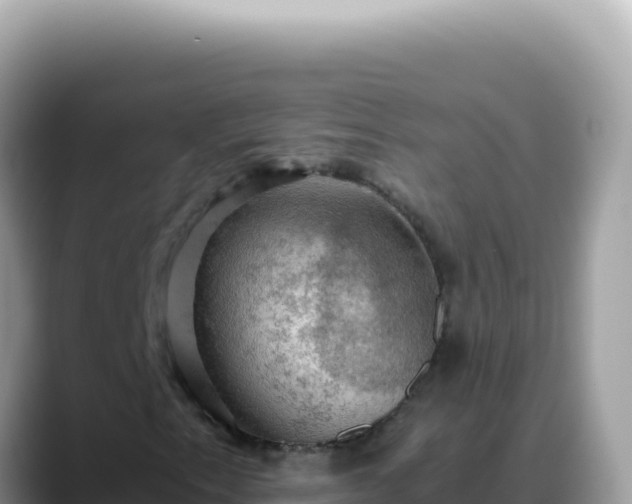 X0000088741153200706071654