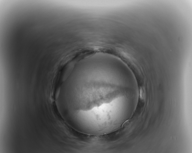 X0000088741155200706071654