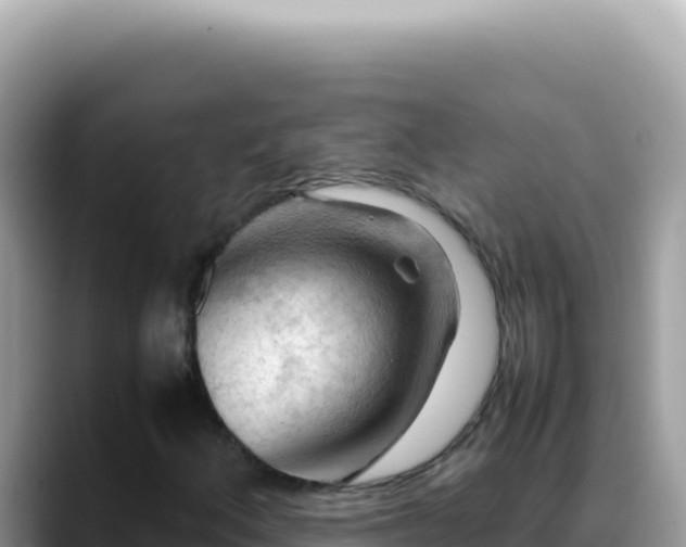 X0000088741156200706071654